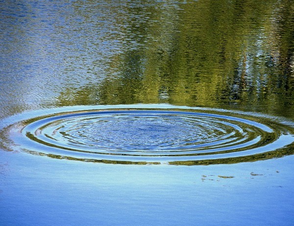 Девочка-подросток утонула в Хакасии, ее сестру спасла собака