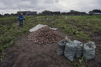 Депутаты предложили бесплатно раздать пустующие земли