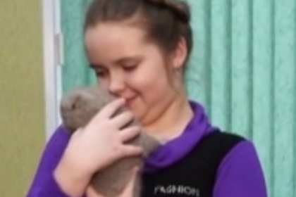 Путин подарил котенка школьнице из Мурманской области