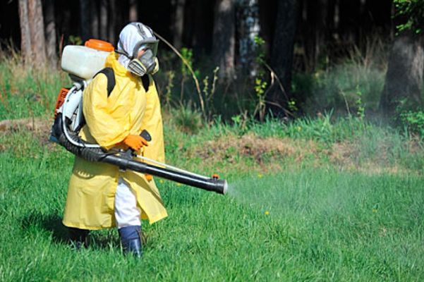 Все городские зоны отдыха будут обработаны от клещей