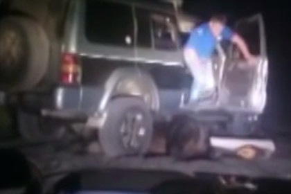 Делом об издевательствах над курильским медведем займется СКР