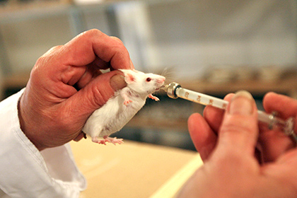 На российском биопринтере впервые напечатали работающий орган