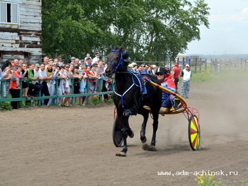 Конноспортивные соревнования завершились победой коннозаводчиков из Ачинска и Ачинского района