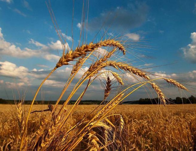 Ачинцев ждет теплая неделя