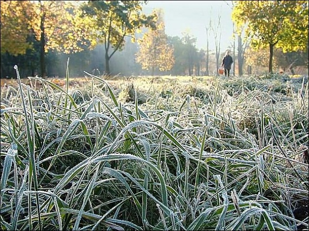 Синоптики пообещали заморозки до −3