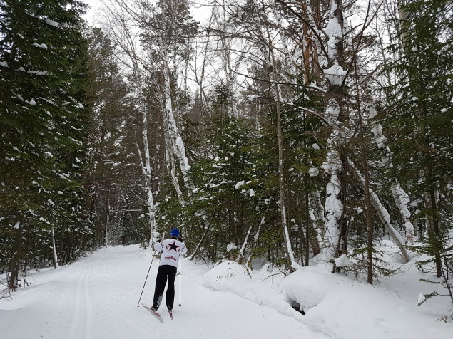В праздничные выходные любители активного отдыха могут отдохнуть за городом