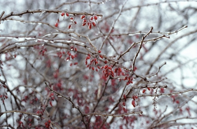 Прохладные выходные в Ачинске сменит весеннее тепло