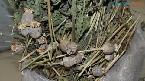 Сотрудники полиции проводят оперативно-профилактическую операцию «Мак»