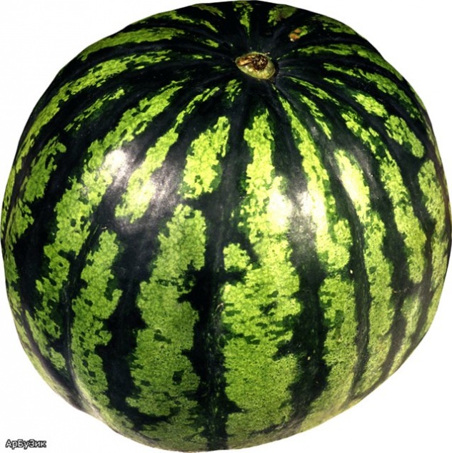 «Тщательно мыть и не оставлять на ночь»: красноярцам напомнили, как правильно выбирать арбузы