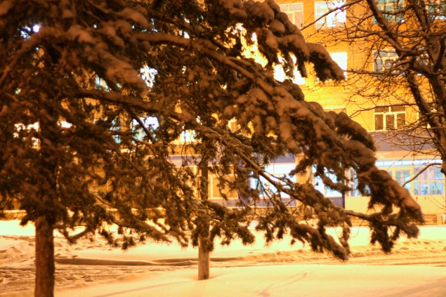 Полицейские подвели итоги охраны общественного порядка в период новогодних праздников