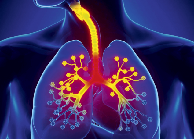 Как лечить бронхит