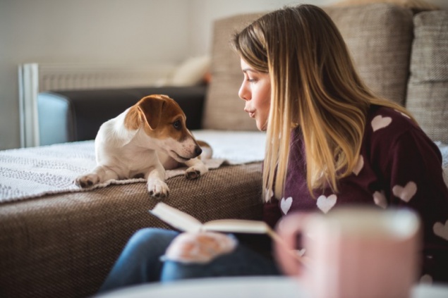 Что положить в ветеринарную аптечку?