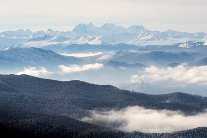 Семеро россиян погибли в горах Алтая из-за схода лавины