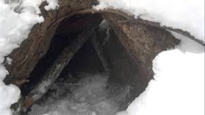 Российские СМИ сообщили о тувинце, который месяц якобы жил в берлоге с медведем