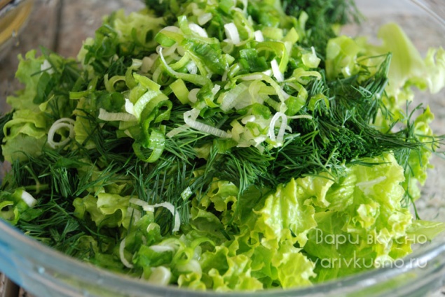 ЗЕЛЕНЬ. ПЛЮСЫ И МИНУСЫ