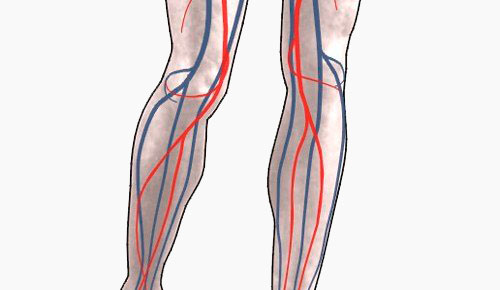 КАК УЛУЧШИТЬ КРОВООБРАЩЕНИЕ В НОГАХ