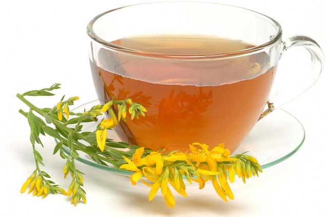 Пять самых полезных трав летом: от жары, духоты и нехватки кислорода