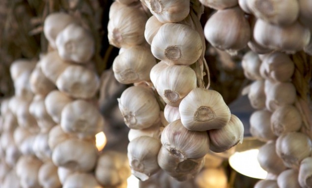 Топ-5 лучших способов хранения чеснока в квартире