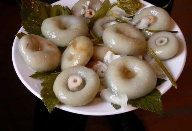 10 ЗАГОТОВОК ИЗ ГРИБОВ НА ЗИМУ