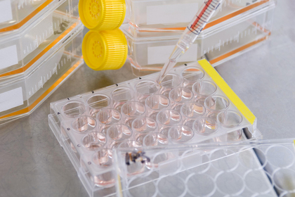 Найден способ обратить старение человека