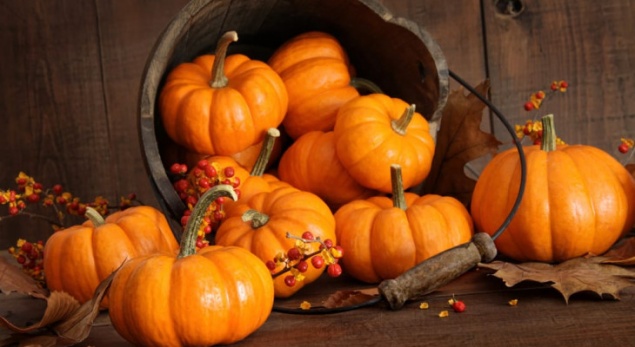 КАК СОХРАНИТЬ ТЫКВУ ЗИМОЙ В ЧАСТНОМ ДОМЕ И КВАРТИРЕ