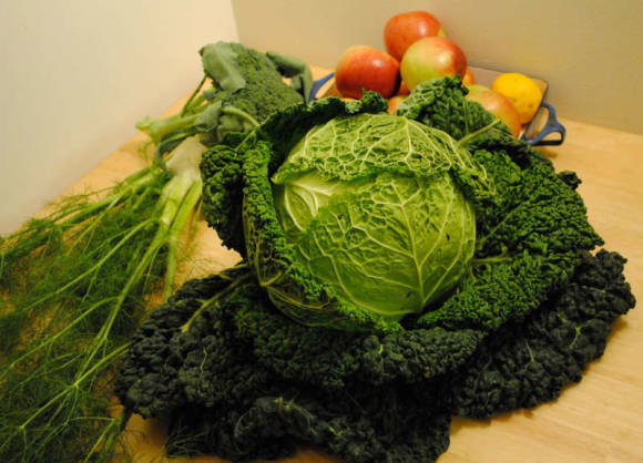 Савойская капуста: капуста-кружевница