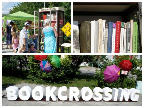 Новый уличный шкаф для буккроссинга появится на бульваре Б.Богаткова в марте 2020 года