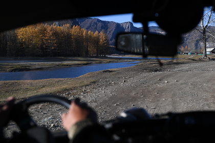 Водителям рассказали о способах остановить автомобиль при отказе тормозов