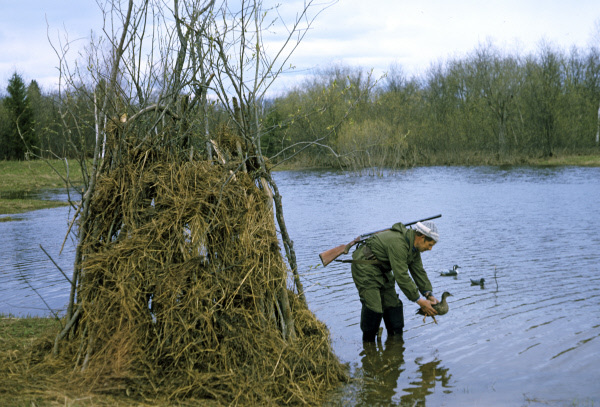 Из-за коронавируса весеннюю охоту разрешат только на севере Красноярского края