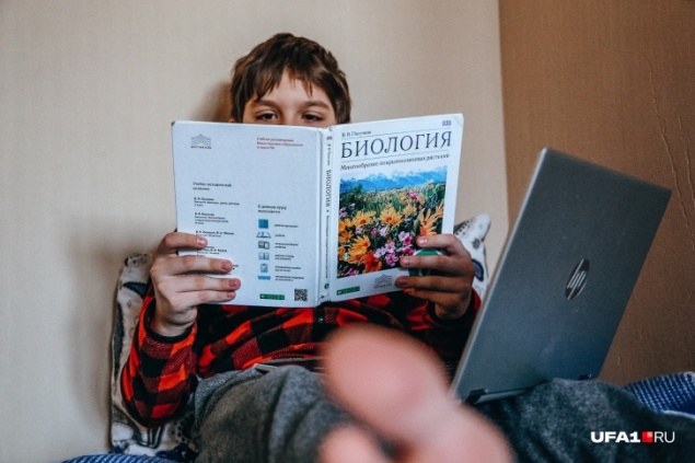 Удалёнка даст возможность выбора: как карантин изменит школьное образование в России