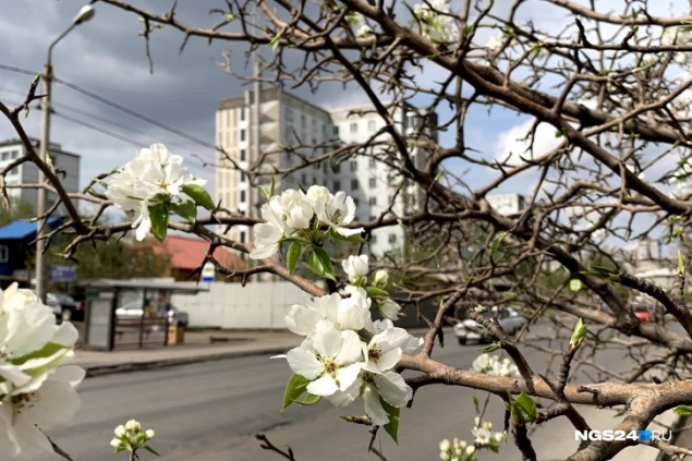 В этот раз без снега: какая погода будет на майских праздниках