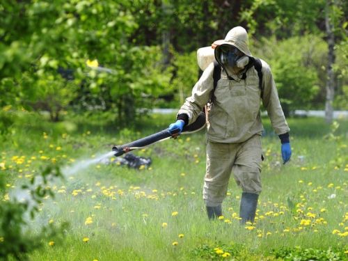 С 13 по 21 мая в Ачинске пройдёт противоклещевая обработка парков, скверов и общегородских мест памяти