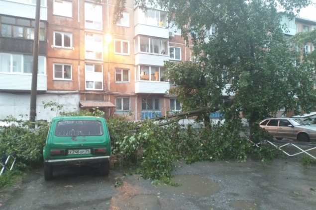 Ураганный ветер прошелся по Ачинску и повалил деревья