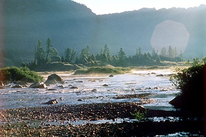 Назван наиболее подверженный летним температурным аномалиям регион России