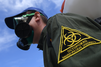 Россиянам назвали способы защититься от активизировавшихся клещей