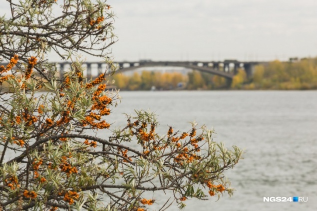 Предстоящая неделя в Красноярске будет пасмурной и дождливой
