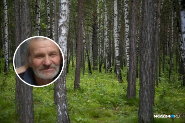 «Ел грибы и спал в пихтовых ветках»: нашелся 78-летний дедушка, которого искали 5 дней в лесу