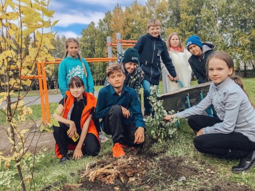 В ачинской школе №3 появился свой зеленый оазис