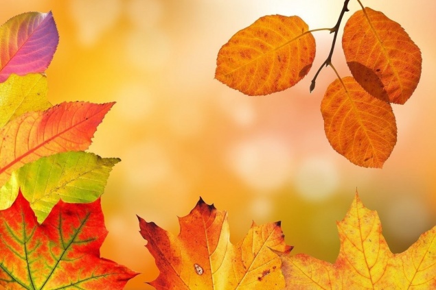 В Красноярск возвращается теплая погода