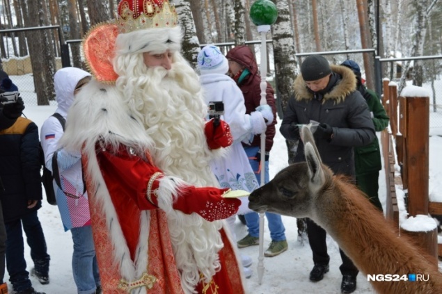 В «Роевом ручье» начала работать заимка Деда Мороза