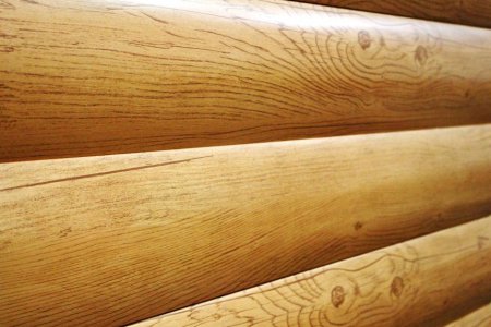 Таежная отшельница Агафья попросила Олега Дерипаска построить ей новую избу