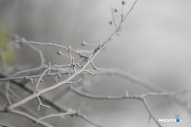 В ночь на четверг в Красноярск вернутся серьезные морозы