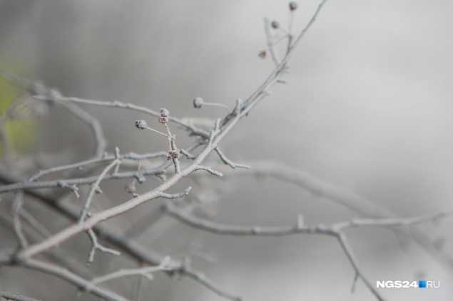 Норильским школьникам разрешили не ходить в школу из-за сильнейших морозов