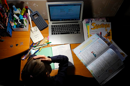 В Минобрнауки признались в снижении качества обучения на удаленке