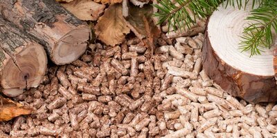 В Красноярском крае построят завод по переработке неликвидной древесины