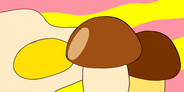 8 продуктов, которые снабдят витамином D лучше солнца