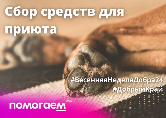 В Ачинске стартовала весенняя неделя добра