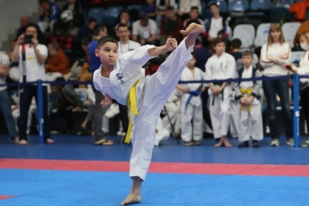 Красноярские каратисты завоевали четыре медали на первенстве России по кекусинкай