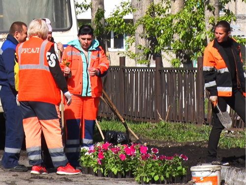 В Ачинске несанкционированную свалку превратили в клумбу