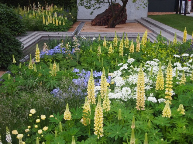 6 растений для сада, которые переживут редкие приезды (когда дача — по выходным)